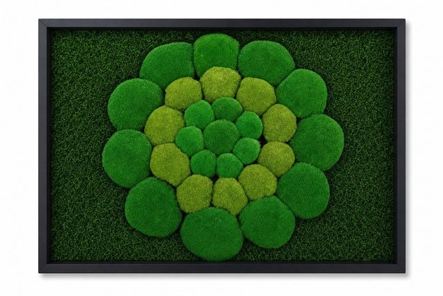 Mandala III
