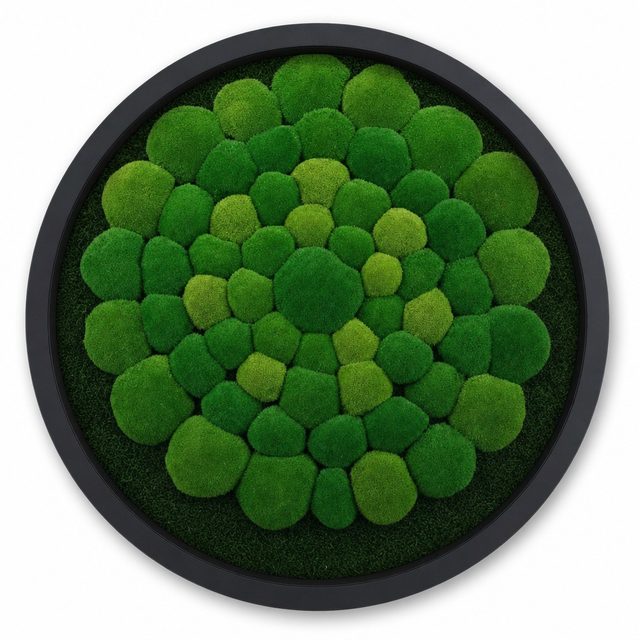 Mandala VII