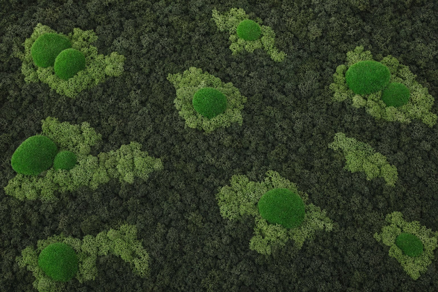 Archipelago II Vorschaubild 5