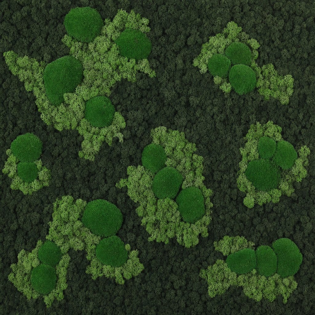 Archipelago V Vorschaubild 5