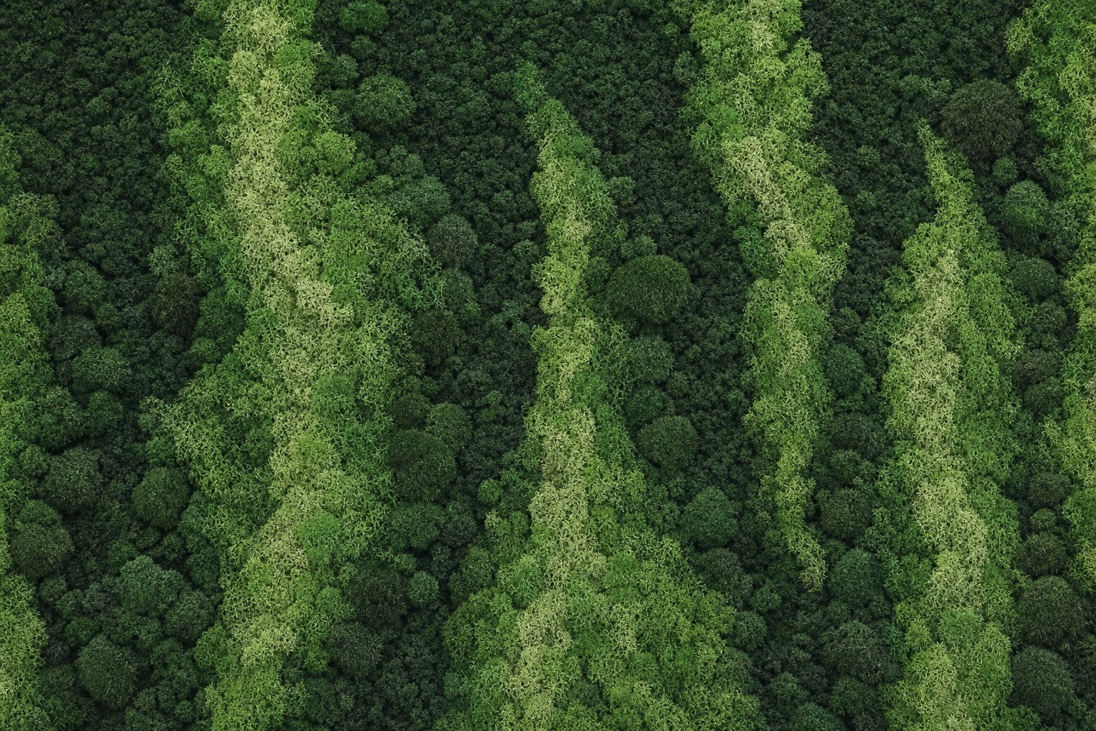 Aurora I thumbnail 5