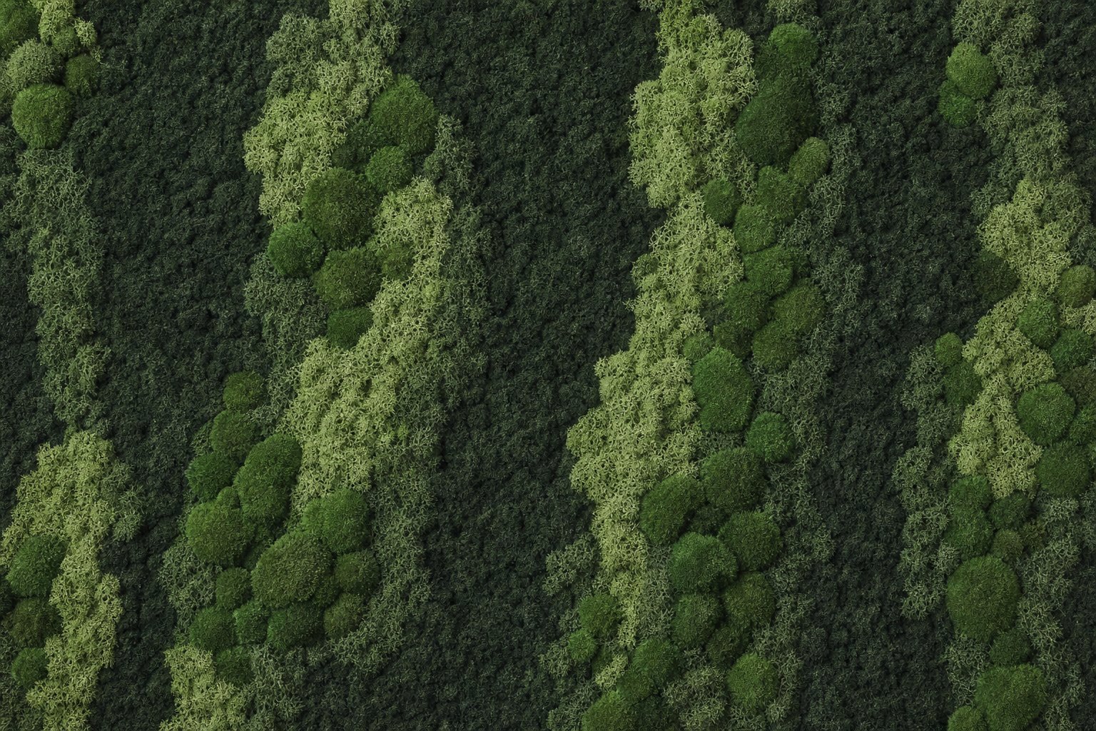 Aurora IV thumbnail 5