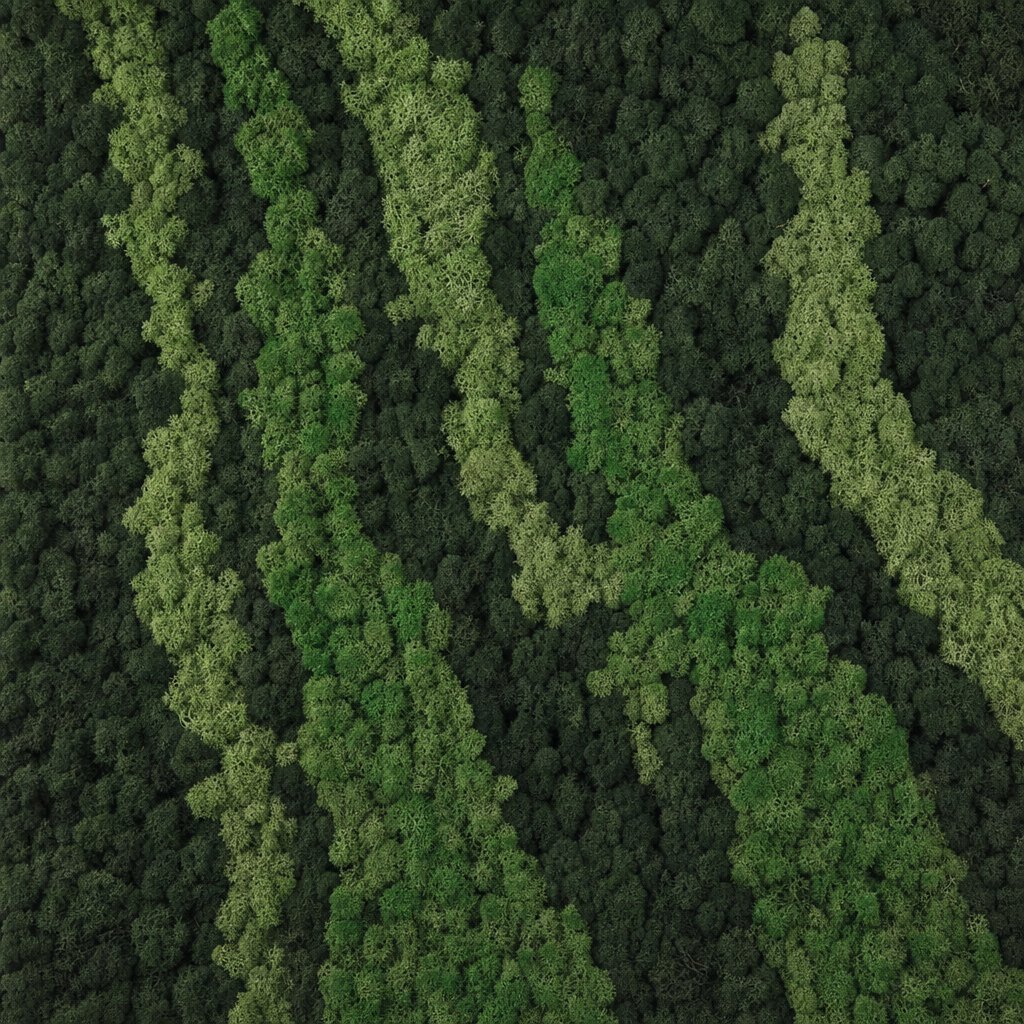 Aurora VII thumbnail 5