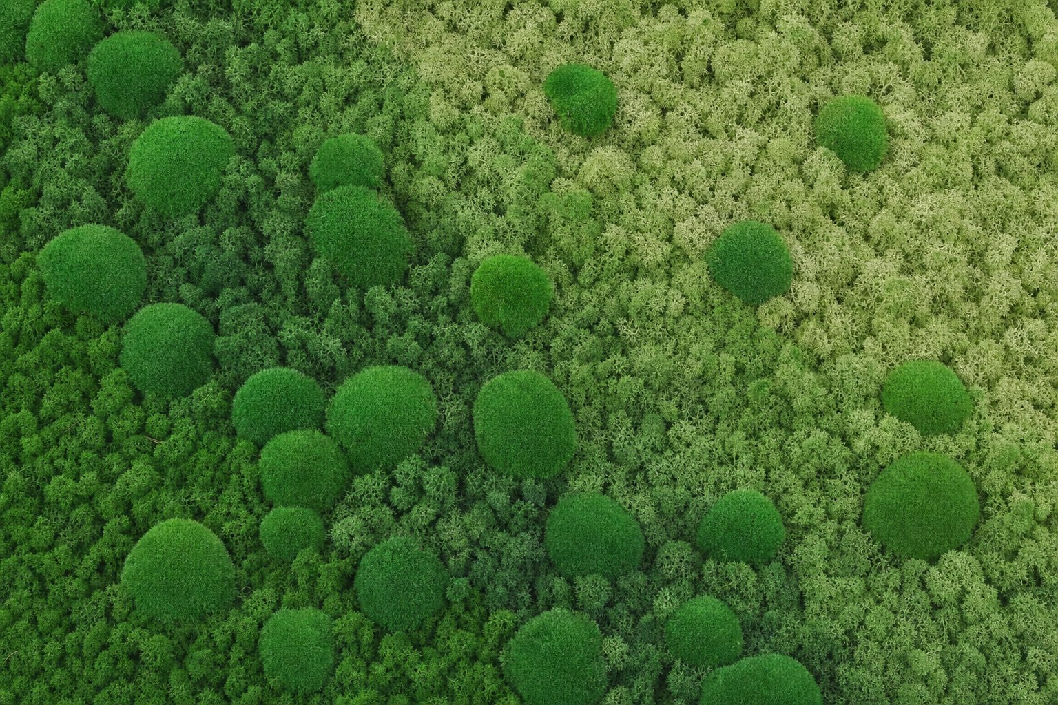 Haze IV Vorschaubild 5