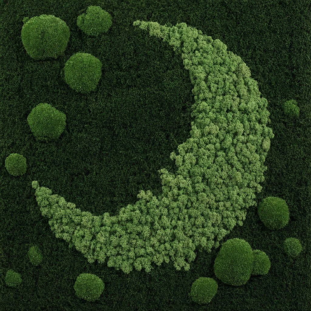 Luna VI sličica 5