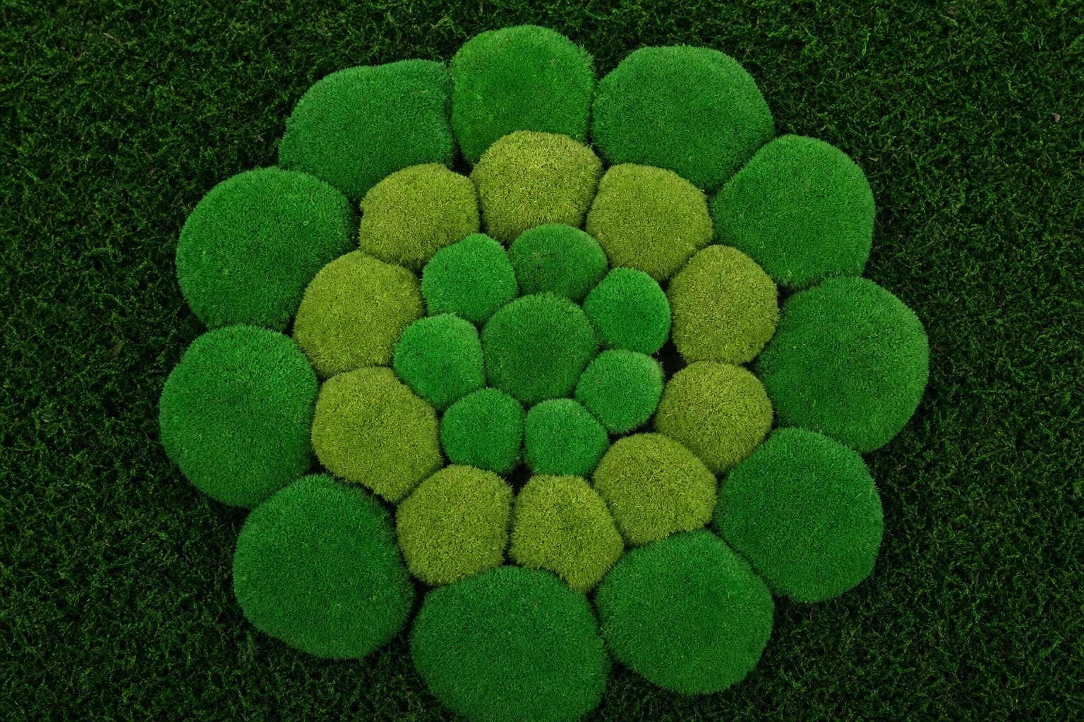 Mandala III thumbnail 5