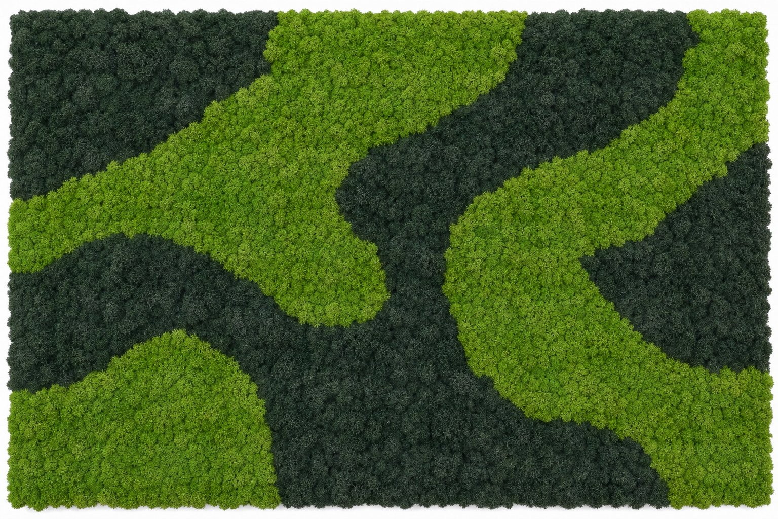 Moor I Vorschaubild 5