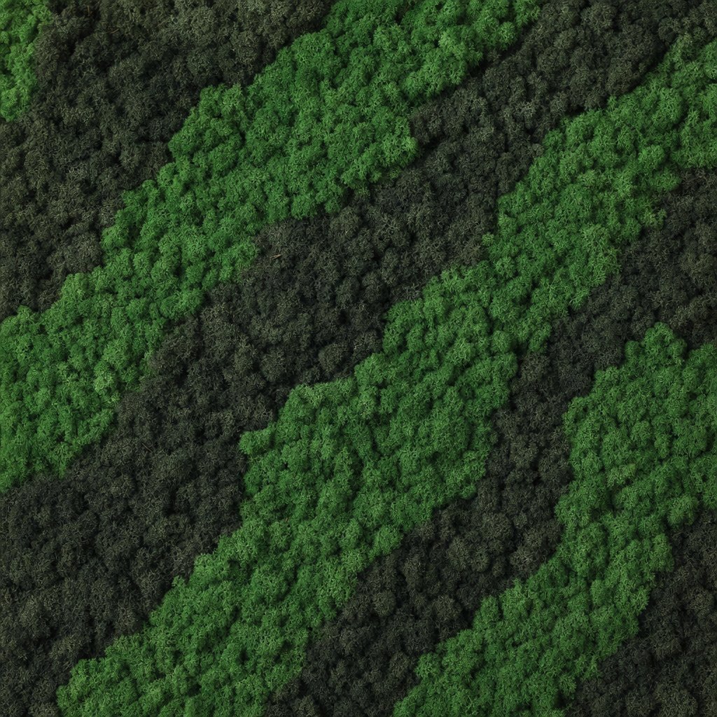 Tiger V thumbnail 5