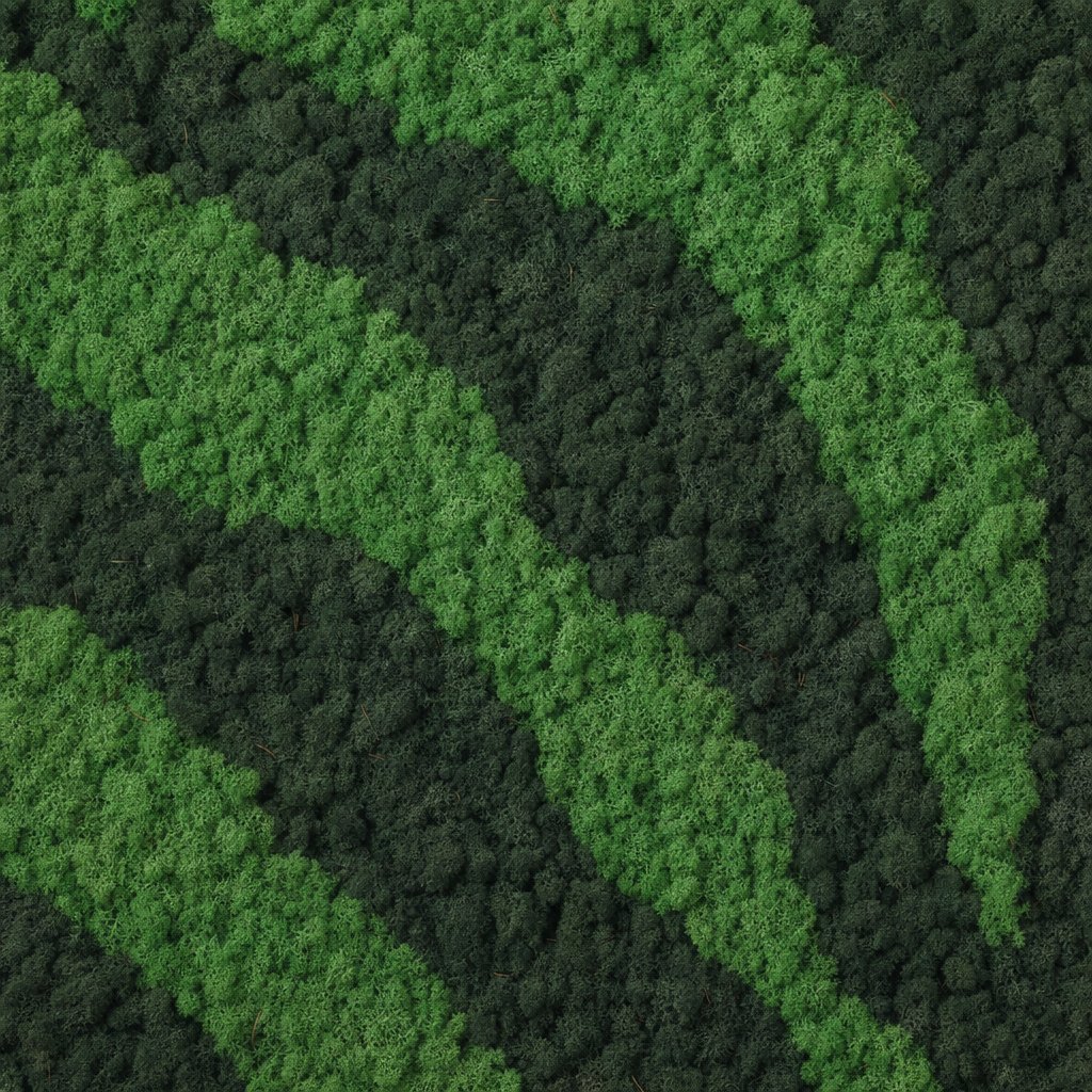 Tiger VI thumbnail 5
