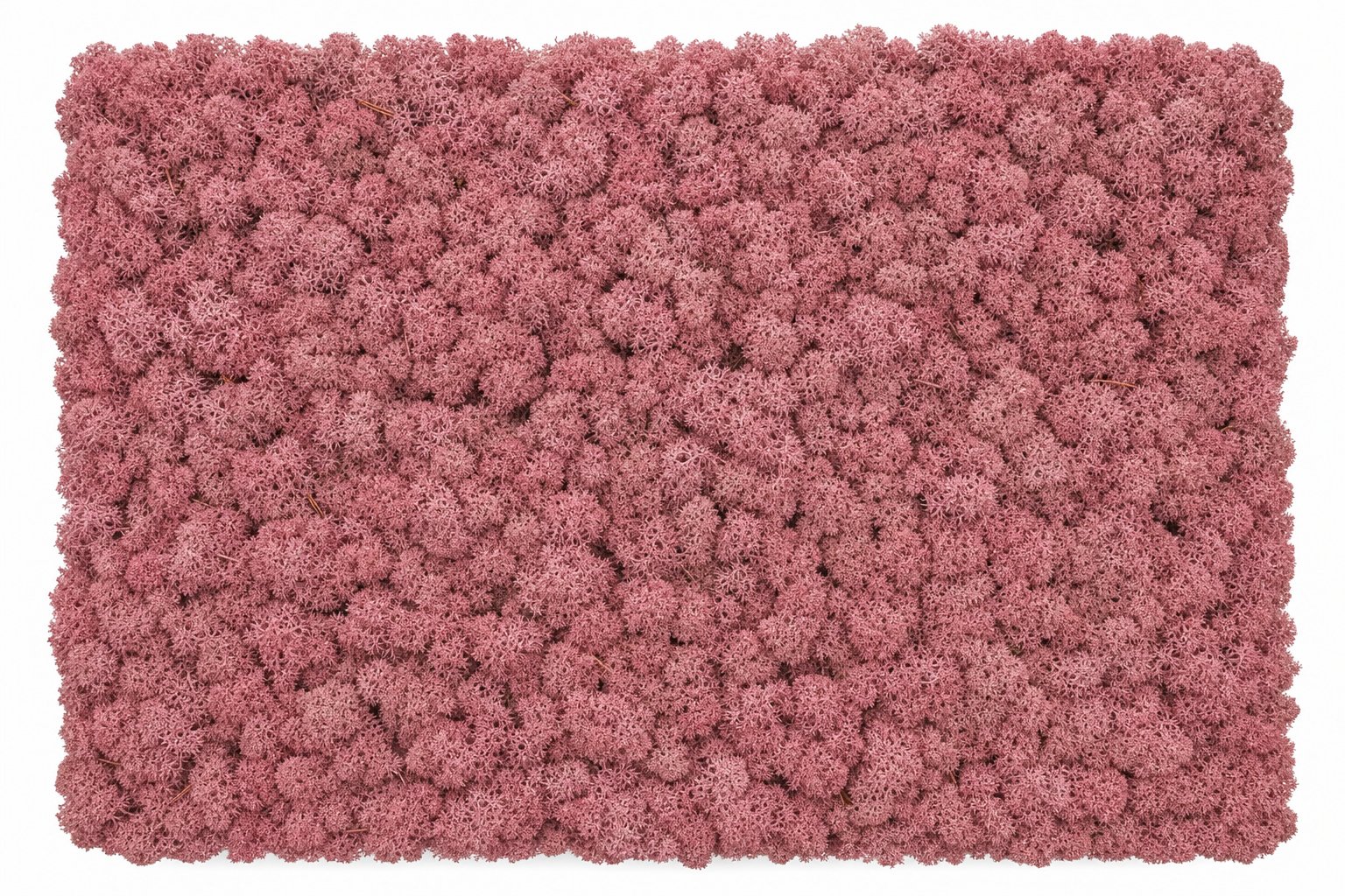 Tundra Bordeaux
