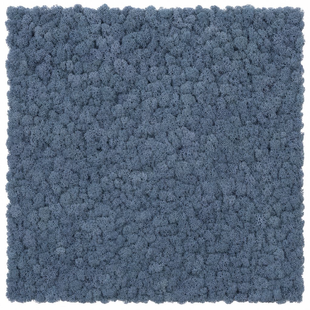 Tundra Cobalt Circle