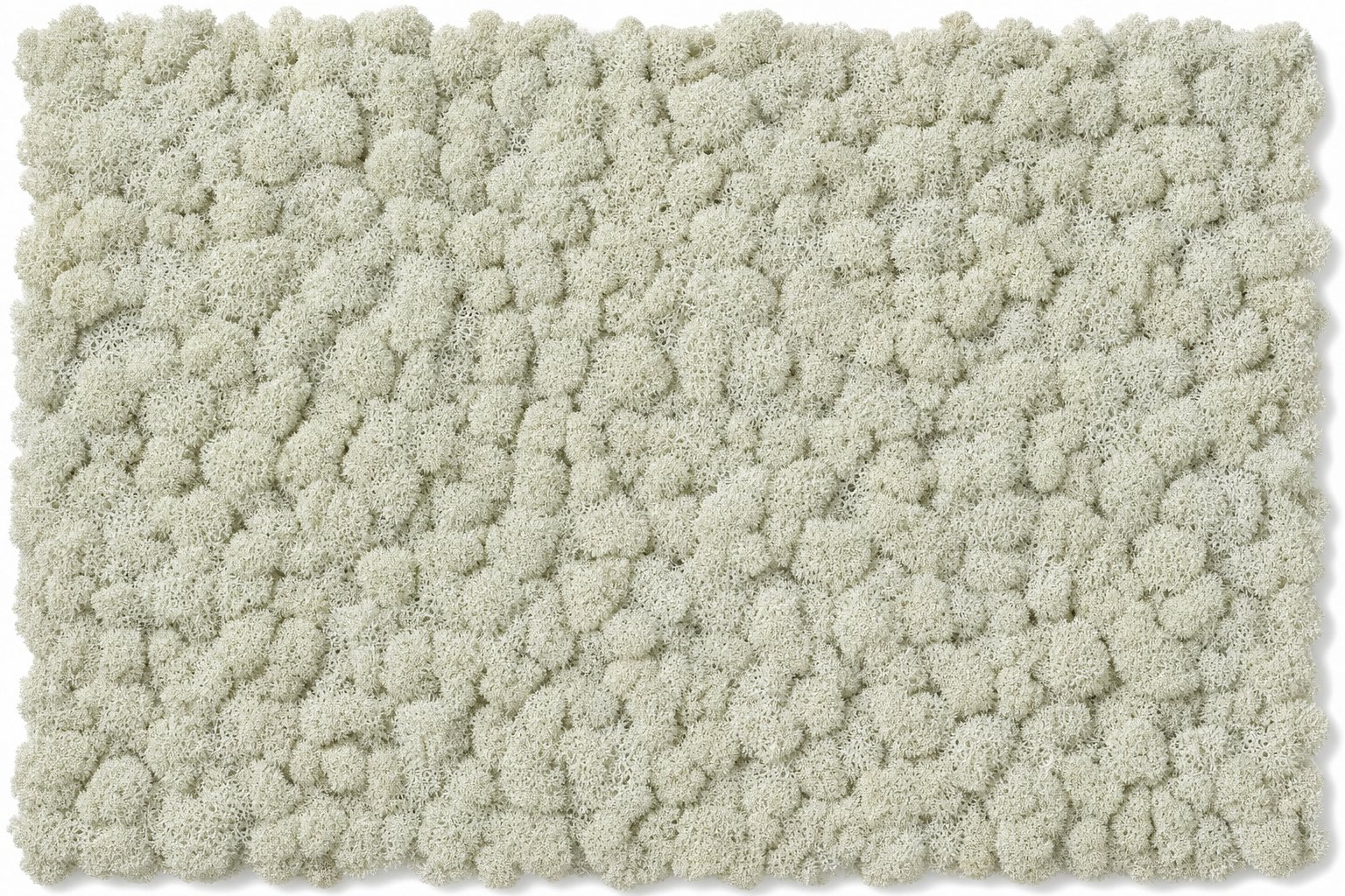 Tundra Ivory