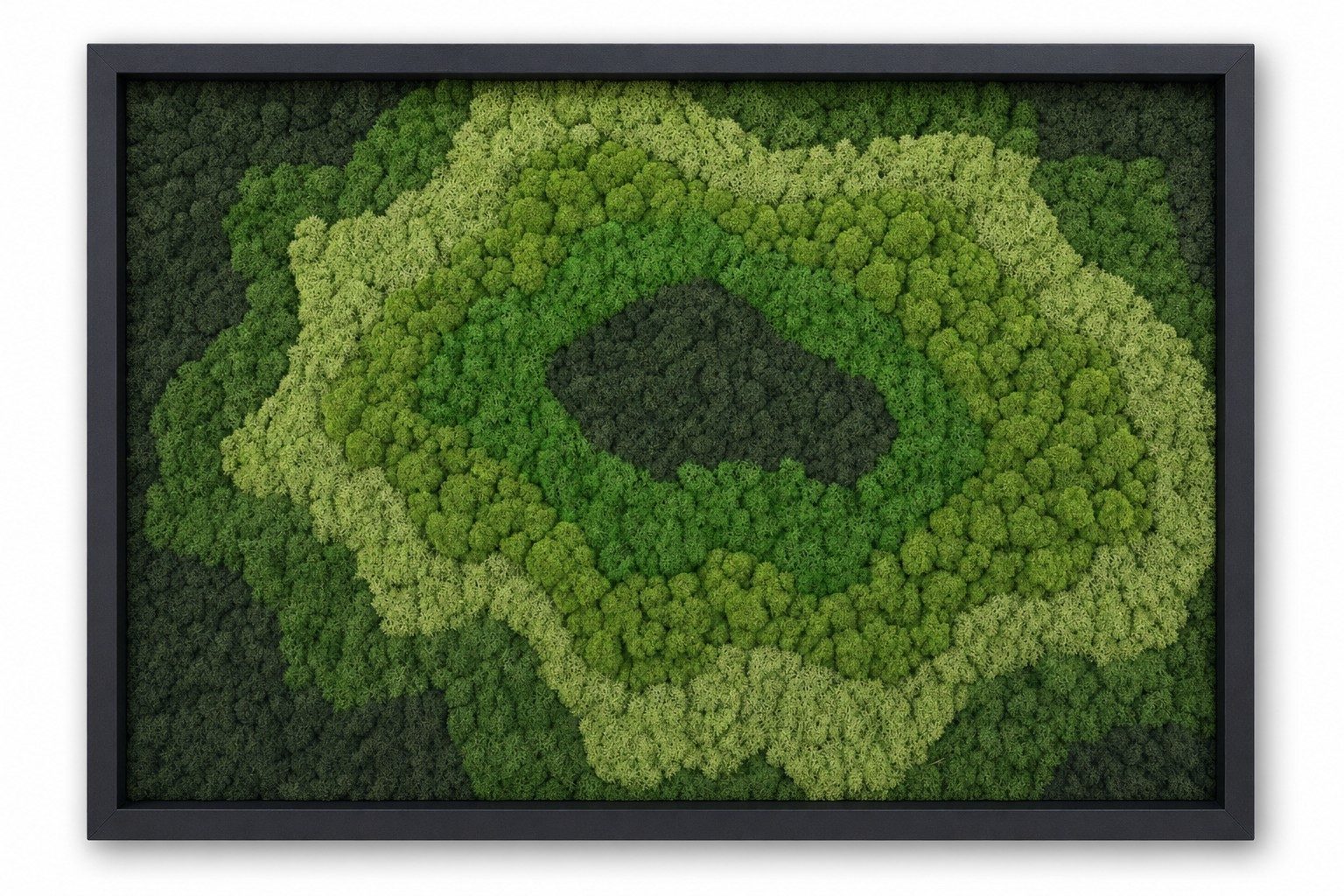 Ascent IV
