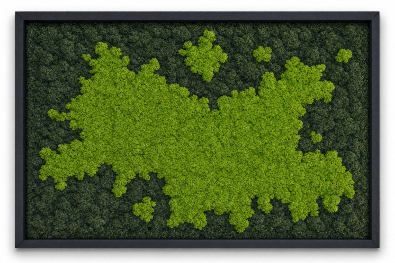 Atoll IV
