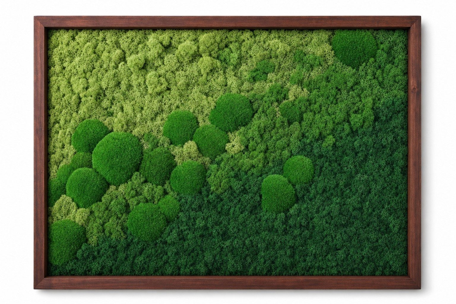 Haze III Vorschaubild 3