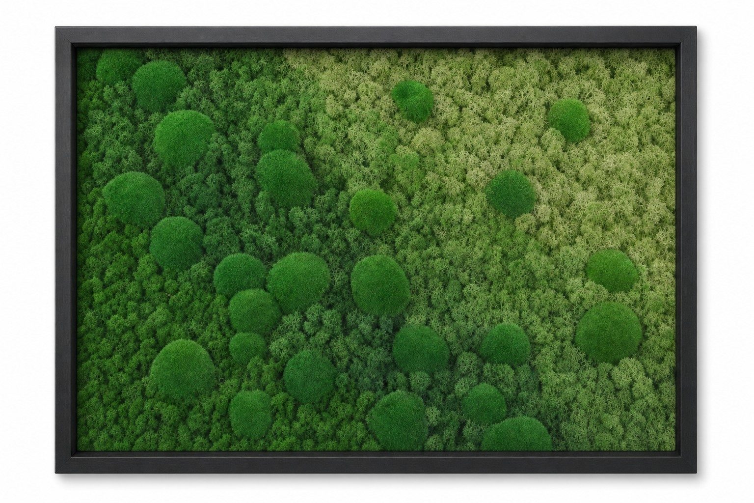 Haze IV