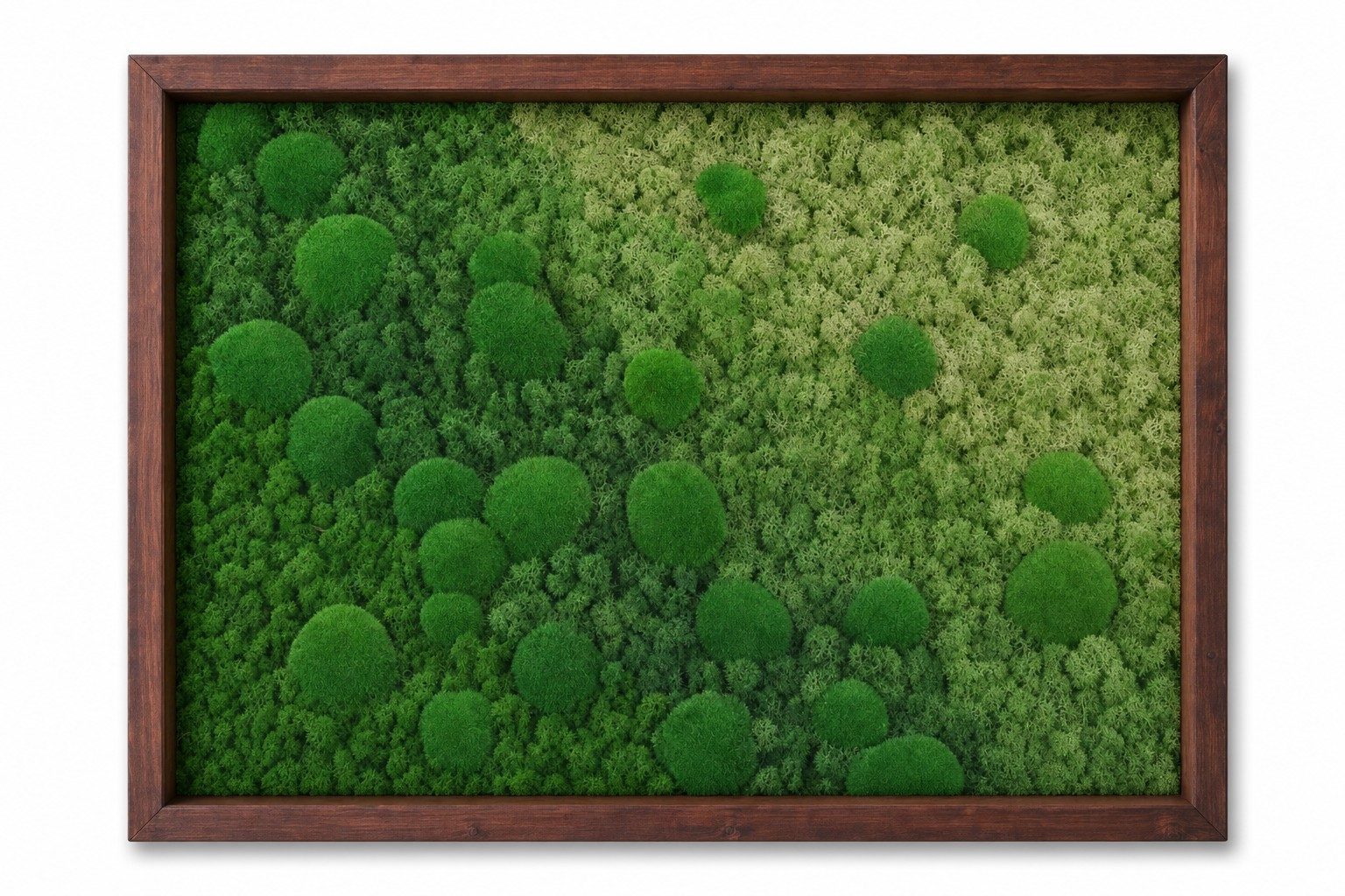 Haze IV Vorschaubild 3