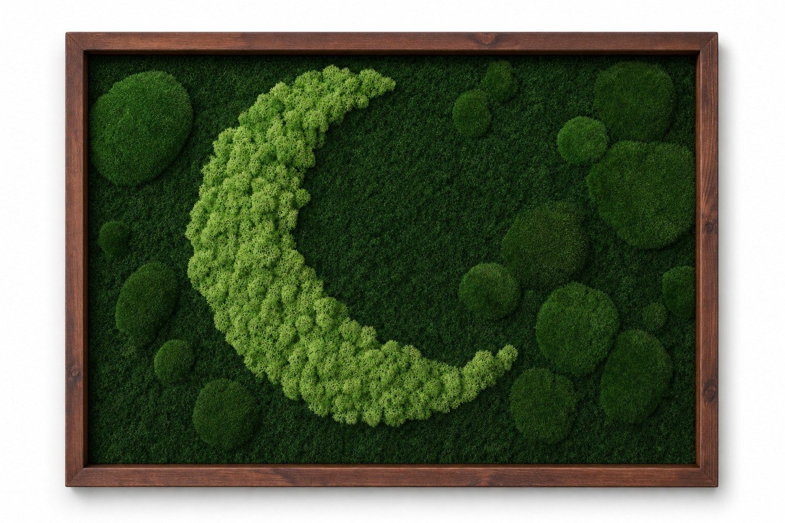 Luna II sličica 3