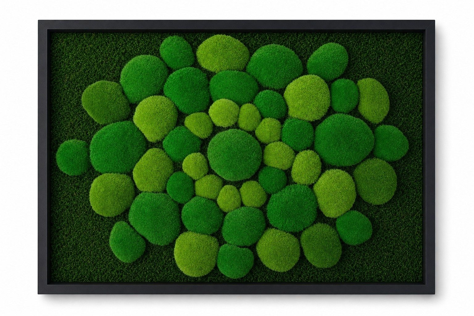 Mandala II
