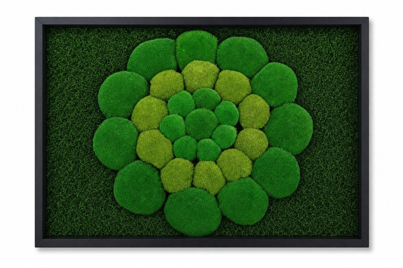 Mandala III