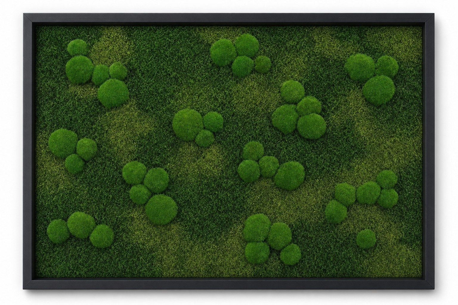 Meadow I