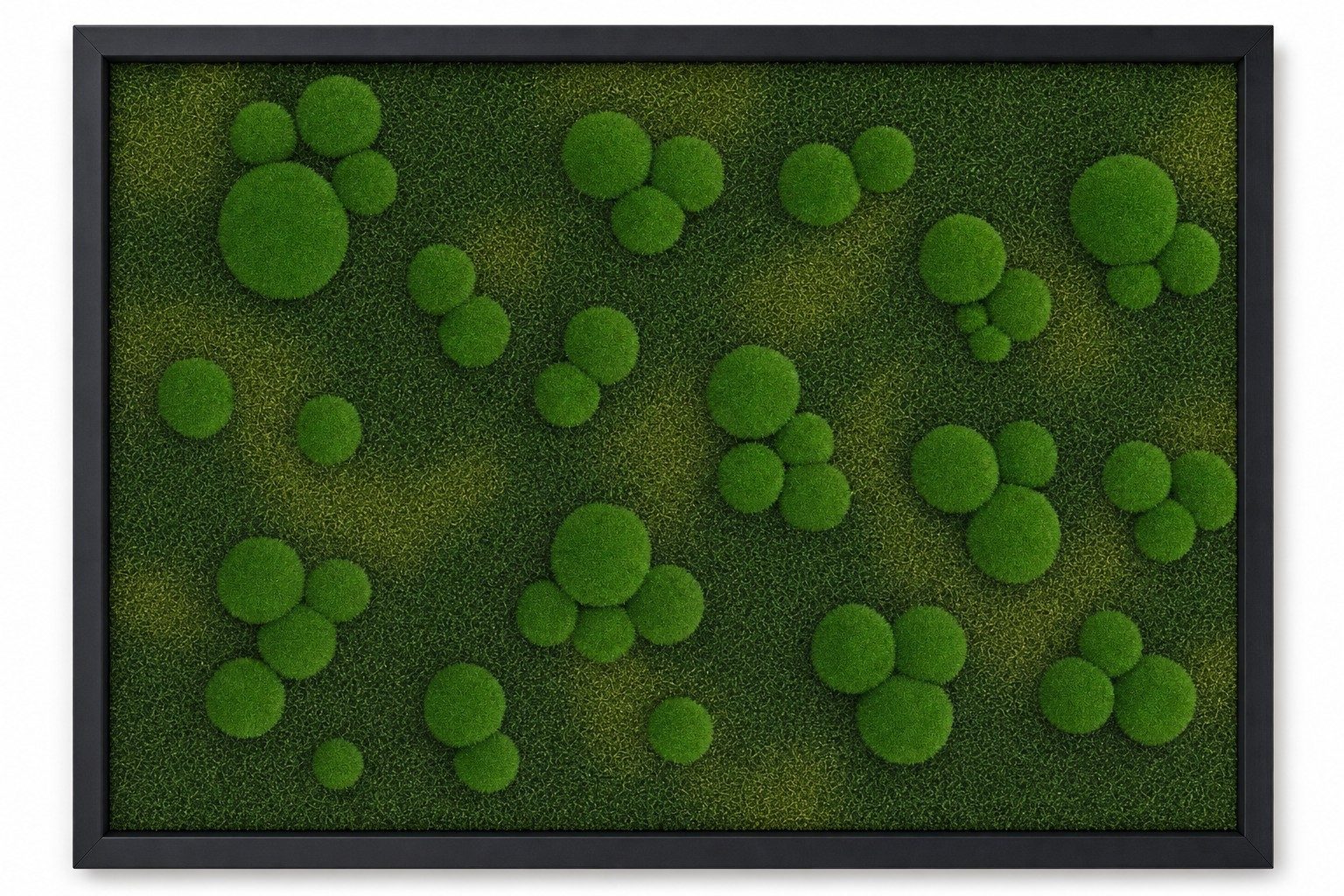 Meadow III