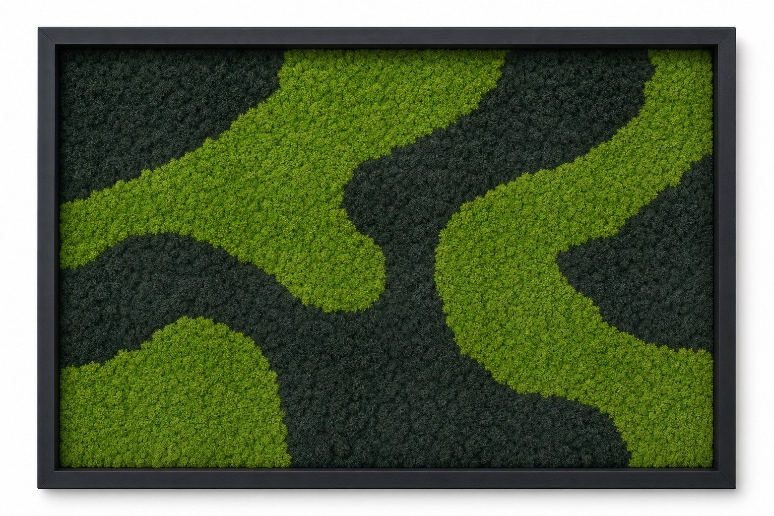 Moor I