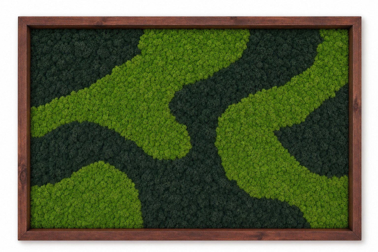 Moor I Vorschaubild 3