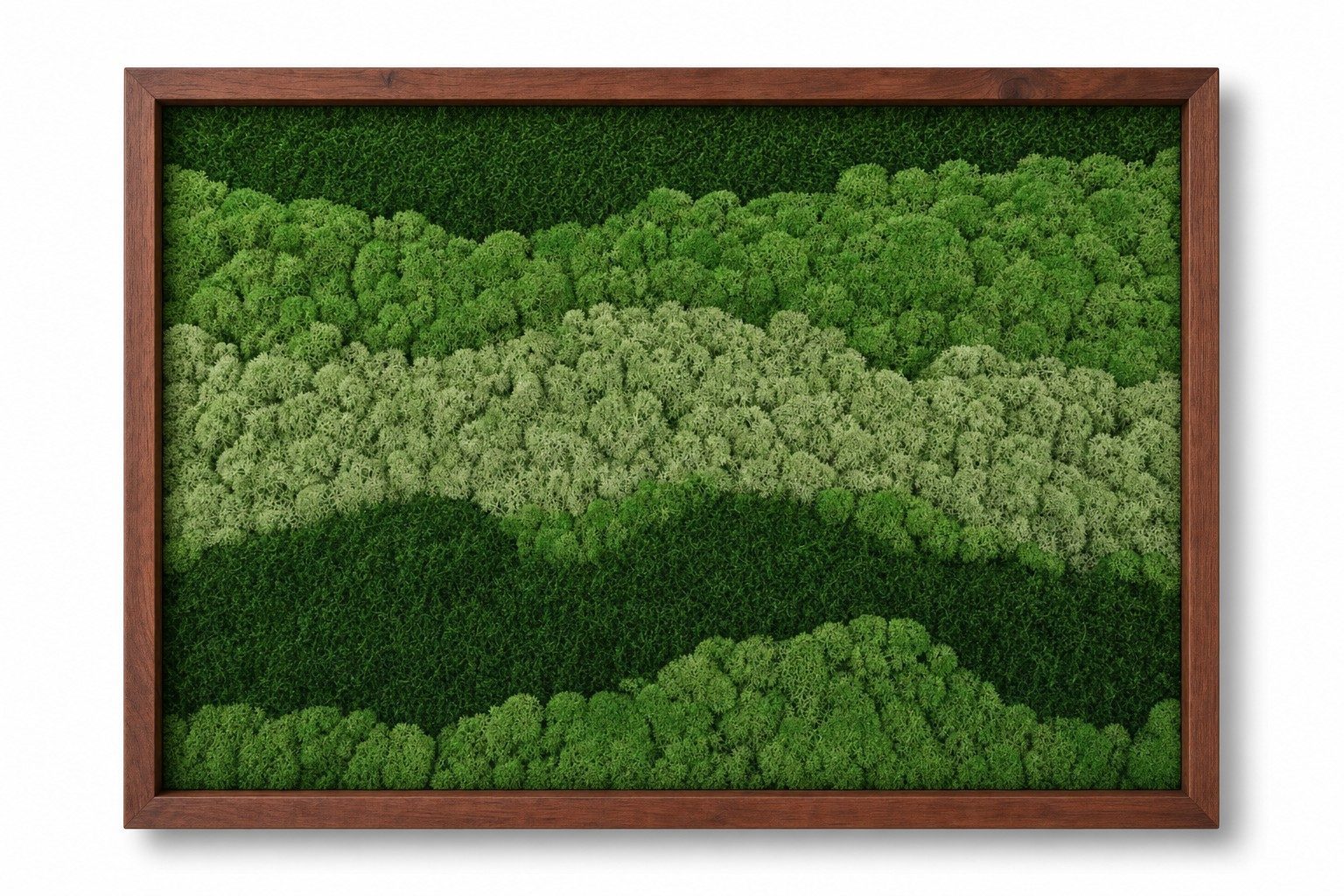 Terrace III thumbnail 3