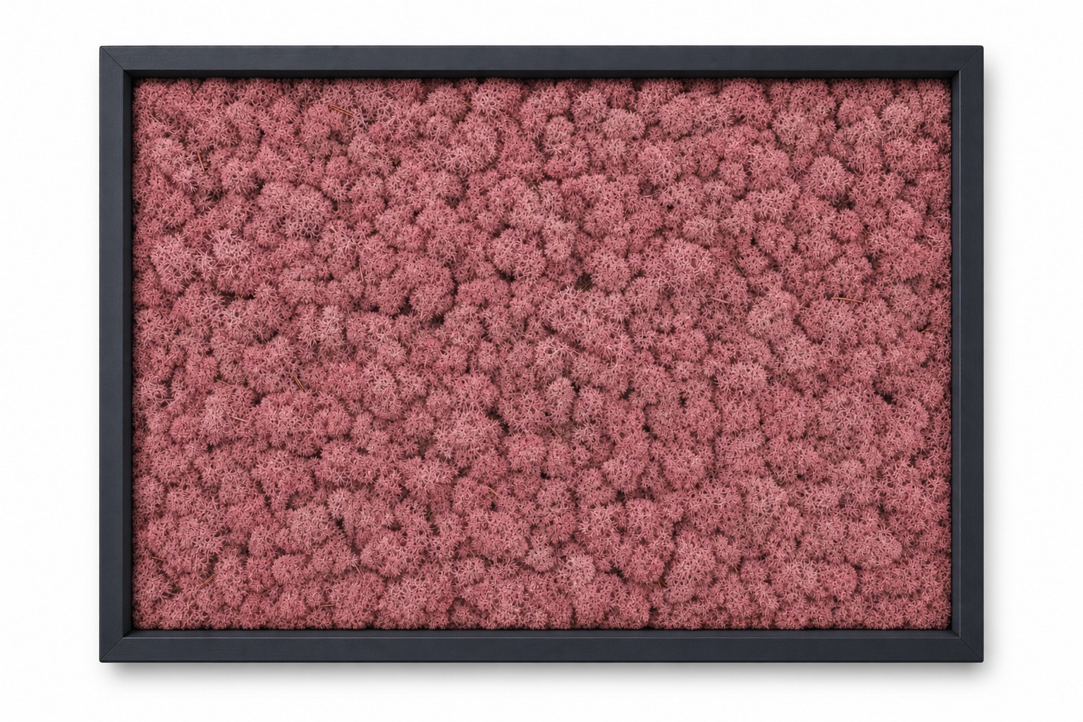 Tundra Bordeaux