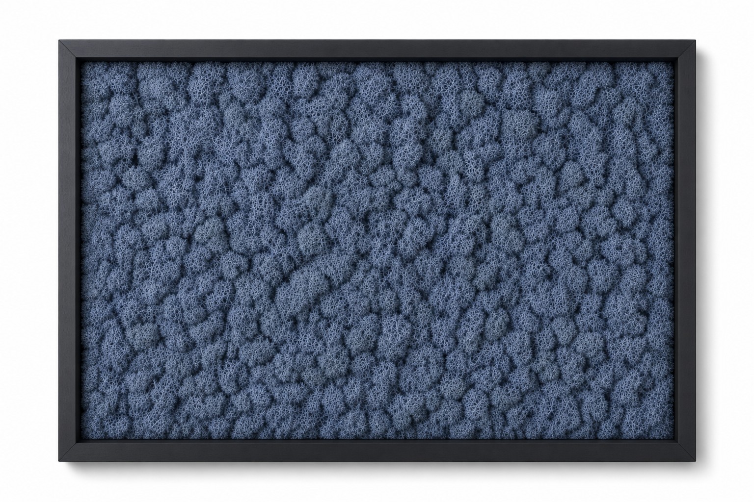Tundra Cobalt