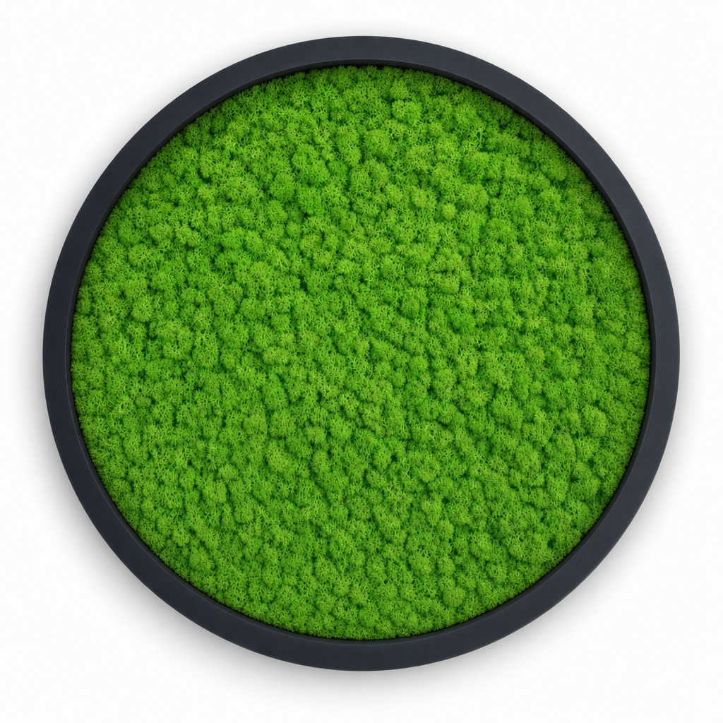 Tundra Spring Circle